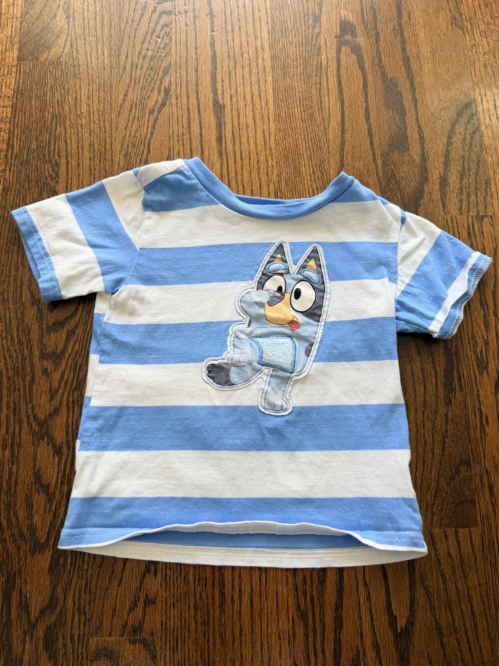Bluey x CAMP Unisex Blue White Striped Appliqué T-Shirt 4T